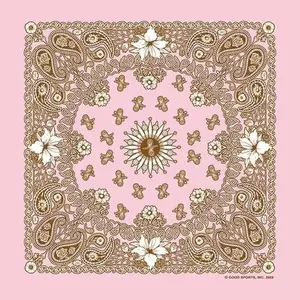 DANIEL SMART Unisex Paisley Floral GS Biker Bandana, 22x22 in Rolled-Hem Edges, 50/50 Poly Cotton, Made in USA Summer Fashion Accessory for Bikers