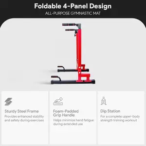 BalanceFrom Alloy Steel Frame dip stand