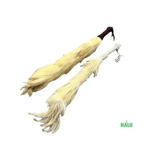 African Eruke/ Cola de Caballo Santeria/ African Horse Tail