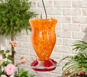 Ultimate Innovations 2-in-1 Hummingbird Feeder and Vase