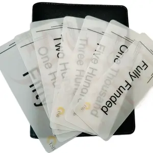 Aesthetic Vellum Money Placeholders | Cash Envelope Budget Binder Inserts | Reusable Savings Tracker Set