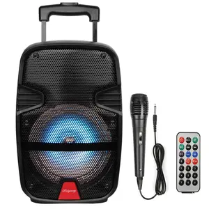 Portable FM Bluetooth Speaker 8inch Sound System Party Tailgate Speaker With Microphone Remote Control
