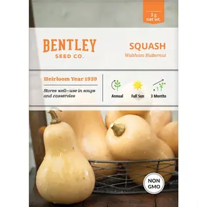 Squash, Butternut Waltham Seed Packets