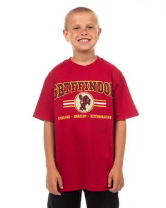Harry Potter T-Shirt Boy's Gryffindor Lion Design Youth Graphic Tee