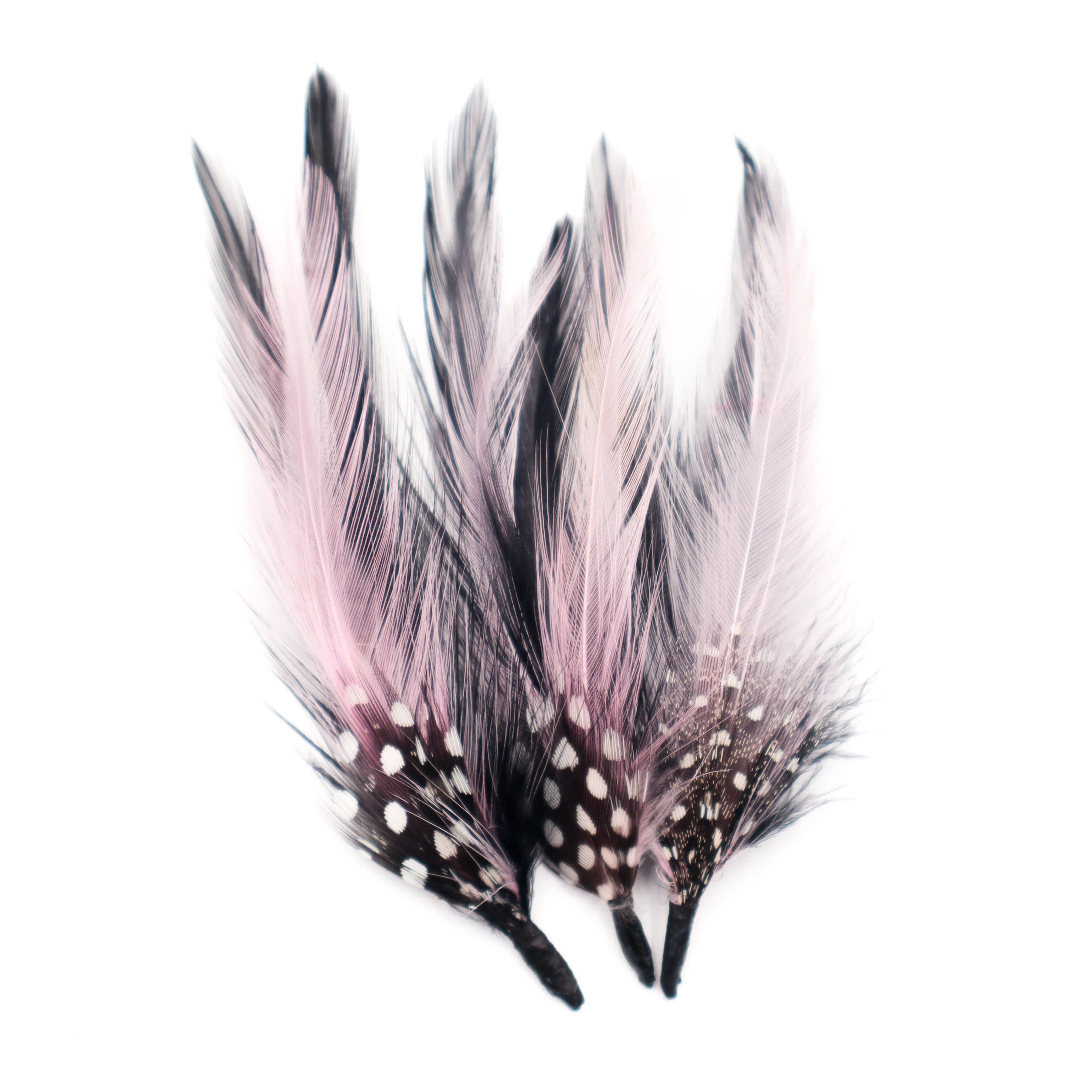 3 Pack Pheasant Feathers for Hats - Pink