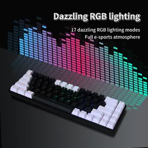 60% 68 Key Hot Swappable Mechanical Keyboard Linear Red Switch Wired RGB Backlit Keyboard Type C Ergonomic Compact Gaming Keyboard Compatible With Windows Mac Android