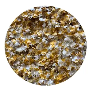 Tiny Star Edible Glitter Shapes - 1 gram