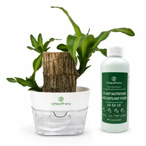 Grow Your Own Luck!  Complete Brazilian Lucky Wood Kit with Self-Watering Pot & Nutrient Solution Plant Nutrition Kit Premium Houseplant Care