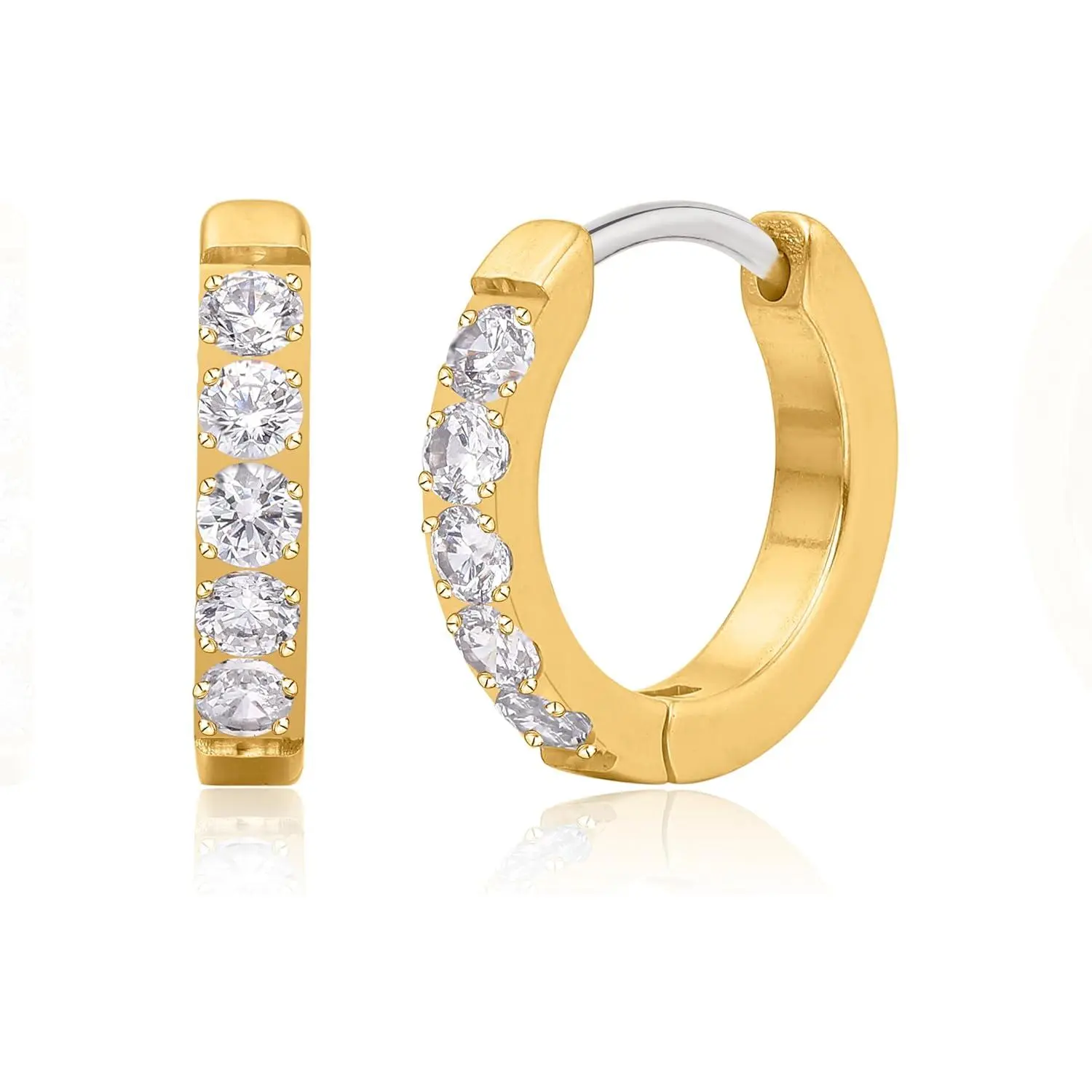 G23 Pure Titanium  Huggie Hoop Earrings for Women  Ears
