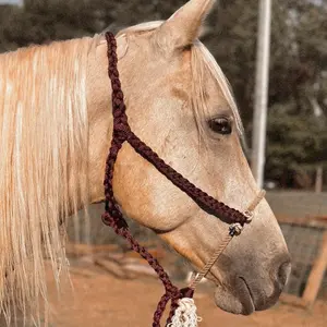 Knotted Lariat Halter for Horses - Durable and Stylish Design for Comfort and Control