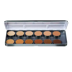 Ben Nye Essential HD Matte Foundation Palette - Full Coverage Makeup that doubles as Concealer Flawless Smooth Flawless Smooth