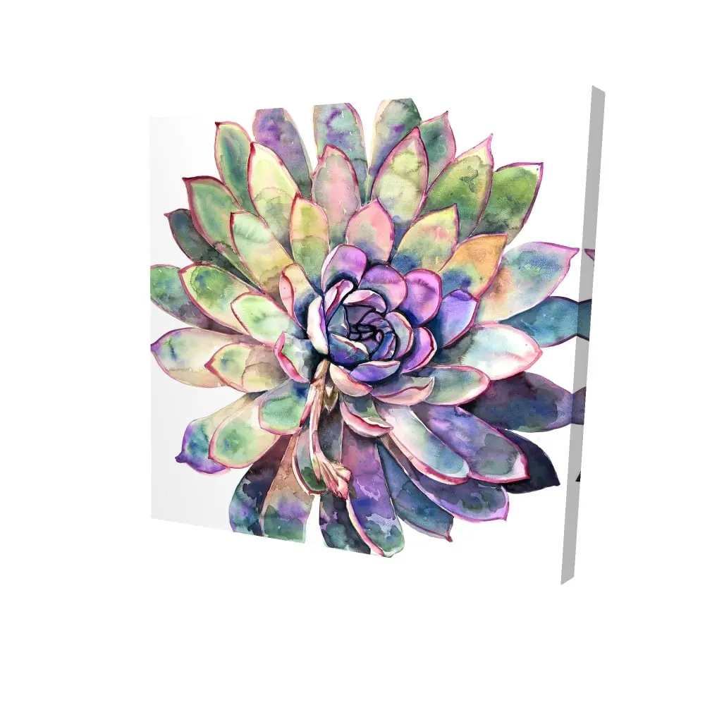 Begin Home Decor 2080-2424-FL361 24 x 24 in. Multi Colored Succulent Canvas - Exotic Bedroom Botanical Decor