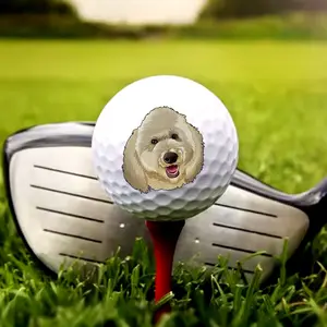 DH Designer Brand Logo Tournament Golf Ball - Display Box (1) or Pack Of Balls (3)