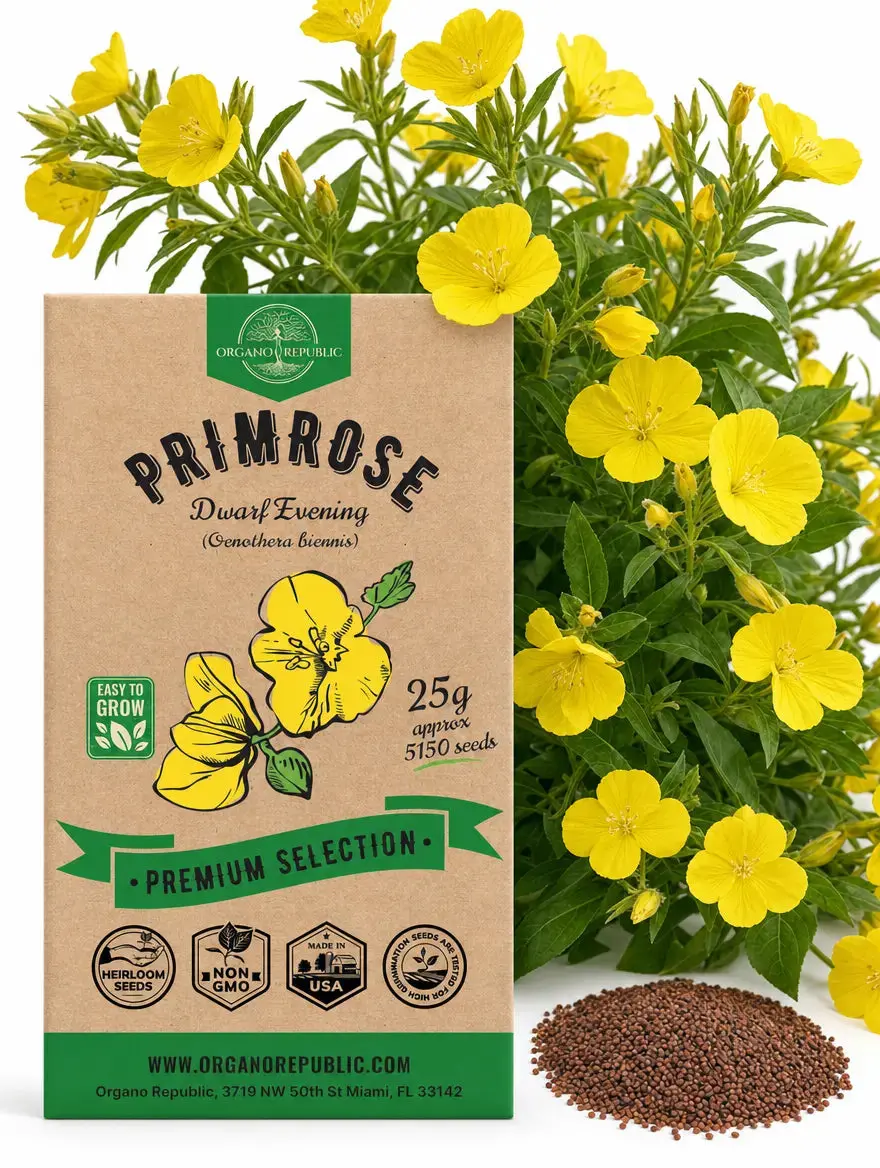 Dwarf Evening Primrose Seeds – Non-GMO Heirloom