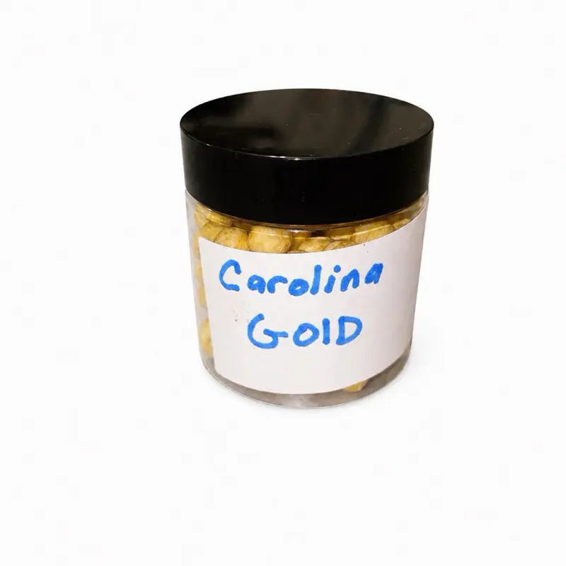 Carolina Gold carp fishing pickups