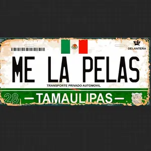 MLP LICENSE CAR PLATE