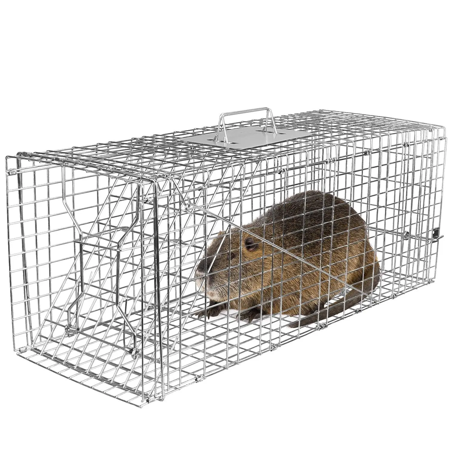 Versatile Live Animal Trap for Cats, Raccoons & Groundhogs - Galvanized Wire, Eco-Friendly & Collapsible