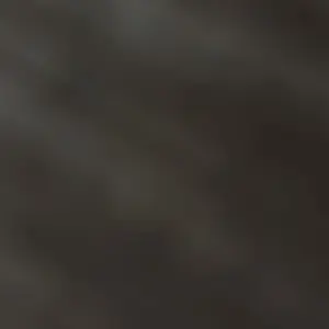 review image 4