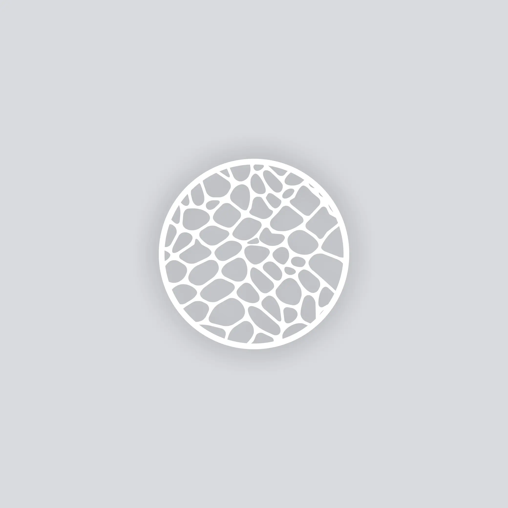 Dragon Scales Circle Clay Stencil