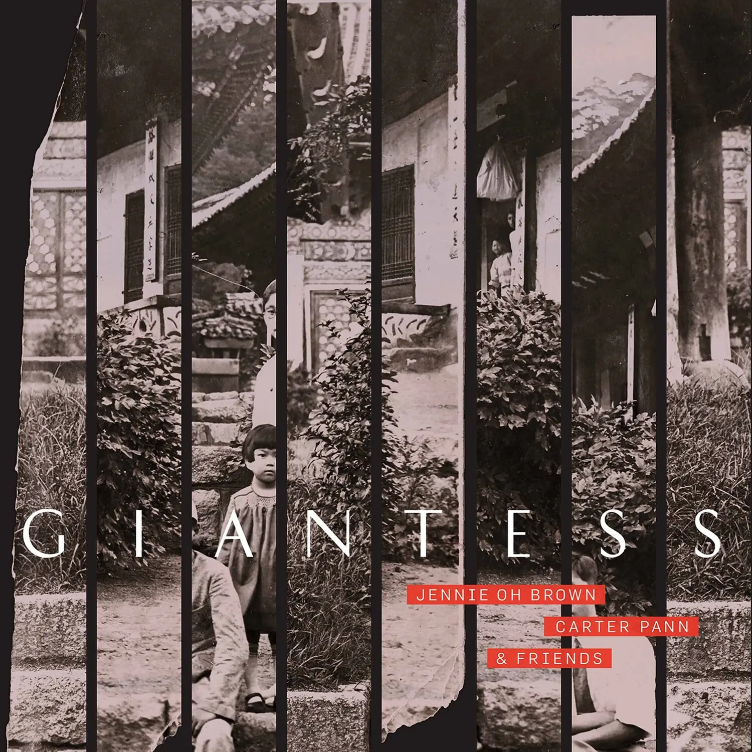 Coleman / Brown / Pann - Giantess  [COMPACT DISC - CD]