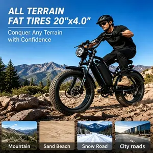 Electric Bike for Adults, 1000W Peak Motor, 35MPH Top Speed, 20"x4.0" Fat Tires, 48V 15.6Ah Battery, Up to 50 Miles PAS Range Dual Seat Off-Road