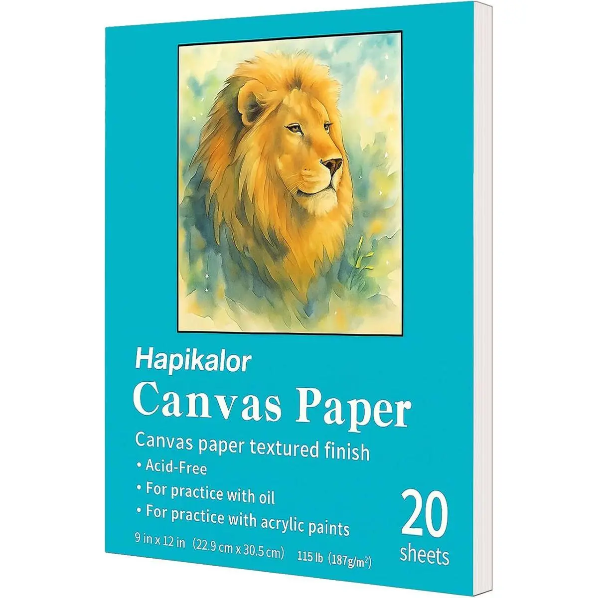 Canvas Painting Acrylic Sketch Book - 9x12 Inch, 20 Sheets (115lb/187g) Mixed Media Sketchbook, Art Supplies for Adults & Kids Canvases Painting pad for Acrylic, Oil, Marker, Drawing, Sketching