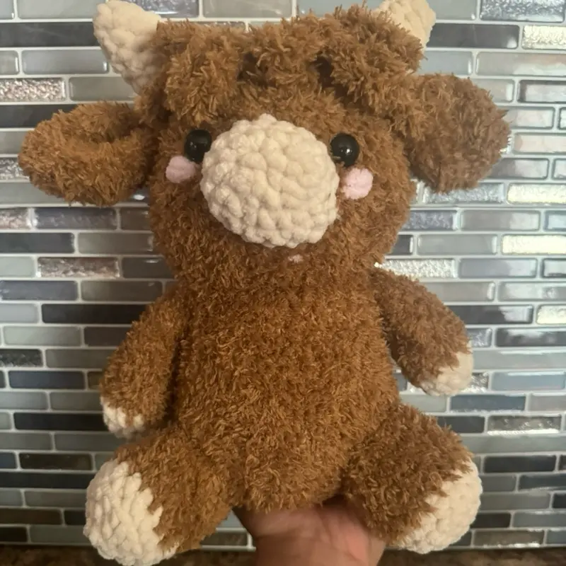 Highland Cow
