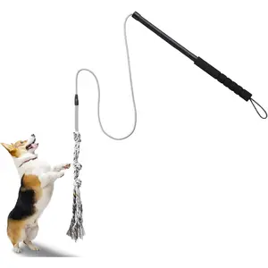 Outdoor Flirt Pole for Dogs - Interactive  Teaser Wand for Dogs Outdoor Chase and Tug of War Heavy Duty  Flirt Pole, Durable Pet Toys for Small Dogs, Black