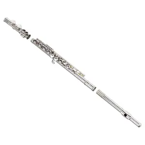 16-Key C Cupronickel Closed-Hole Flute with Separated E Mechanism, Silver-Plated Woodwind Musical Instrument for Hobbyists