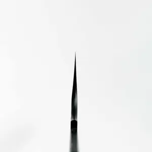 Nigara Hamono SG2 Kurouchi Tsuchime Kiritsuke Sujihiki Slicer 255mm with Ironwood Western Handle