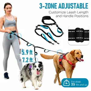 Hands-Free Double Dog Leash for 2 Dogs – Tangle-Free Dual Lead with Reflective Stitching & Padded Handle for Medium & Large Dogs Adjustable Stainless Steel Martingale Collar