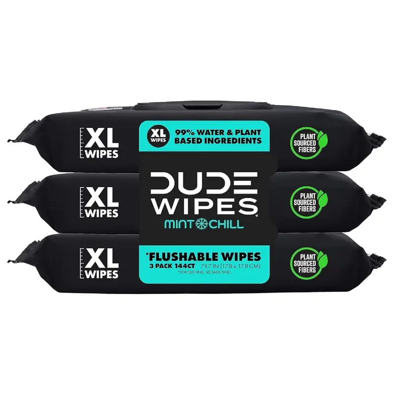 DUDE Wipes - Flushable Bathroom Disposable Wet Wipes, 3 Pack (144 Count) Mint Chill Extra-Large Adult Cleaner, Vitamin-E & Aloe, Plastic-Free Fibers, 99% Water Light Clean Feel, Septic & Sewer Safe