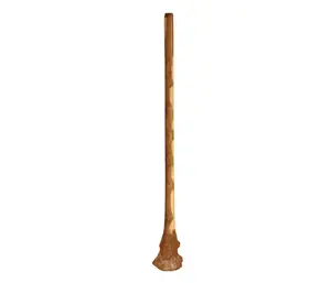 Terre Handmade Didgeridoo Root Eucalyptus 59" length, Large 6-8 inch Root bell end