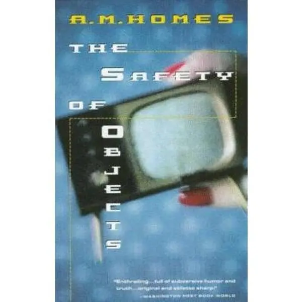 USED-The Safety of Objects by A.M. Homes (Paperback)