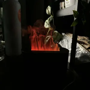 review image 2