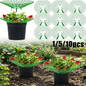 Strawberry Watermelon Plant Stand, 3 Robust Garden Support Rack, Open Drainage System, Space-Saving Crop Holder, Easy Assembly