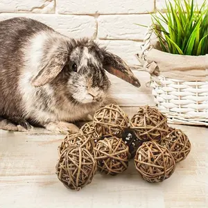 10pcs Primary color rattan ball parrot chew toy ball Pet mouse toy ball decoration rattan ball home decoration technology Willow Branch Ball For Small Animals,Rabbit Chew Toys Activity Toy,Hamster Chew Toy For Rabbits Chinchilla Hamsters Parrot Bird