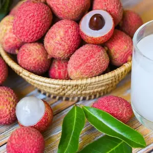 10pcs Lychee Tropical Fruit Seeds - Litchi Seed for Exotic Home Gardening