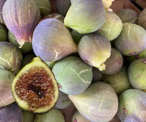 Magnolia Fig
