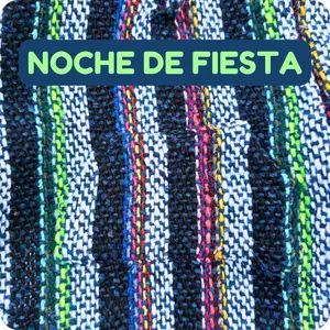 Noche De Fiesta Dog + Cat Poncho