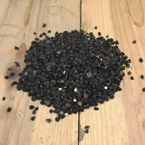 Buckwheat Food Plot Seed