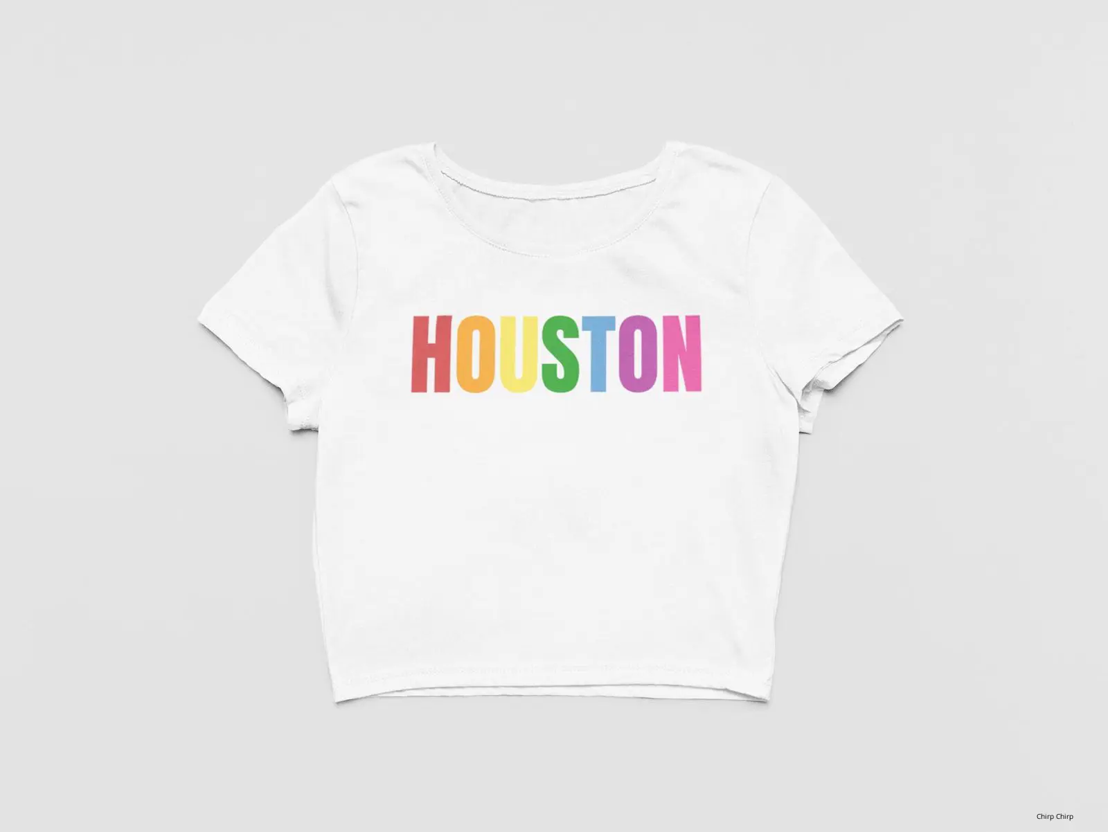 Houston Rainbow LGBTQIA+ Pride Thin Baby Tee for Houston Pride Crop Top for Women Trendy Graphic T-shirt