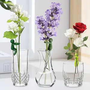 3PCS Plant propagation station set,Plant protection holder ,Cute Plant Propagation Buddy,,Indoor Garden Plant Lover Gifts