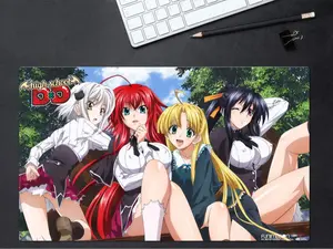 High School DxD Anime Playmat (Large Mousepad) Officially Licensed [24"x14"x1/16 Inches]
