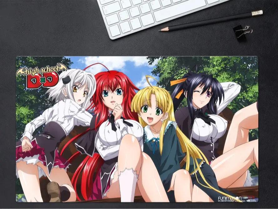 High School DxD Anime Playmat (Large Mousepad) Officially Licensed (24"x14"x1/16 Inches)