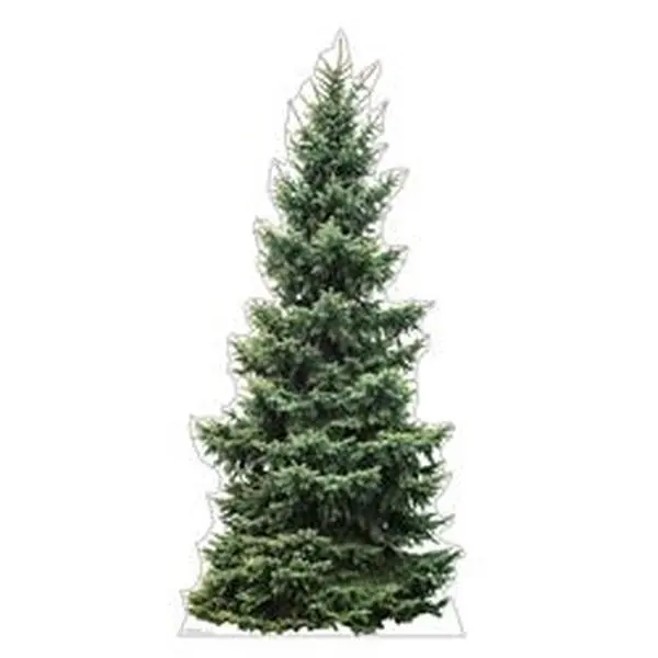 Advanced Graphics 5210 Life-Size Fir Tree Cardboard Cutout, 76x35 in., Easy-Install Easel-Back Home Decor Accent, Parties Use, High-Quality Printing