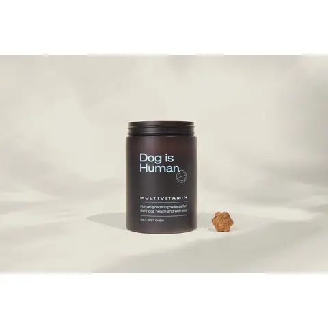 Dog is Human Daily Multivitamin for Dogs (Chicken Flavor) Human-grade, Vet-formulated, Made in Vermont