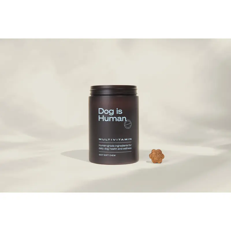 Dog is Human Daily Multivitamin for Dogs (Chicken Flavor) Human-grade, Vet-formulated, Made in Vermont