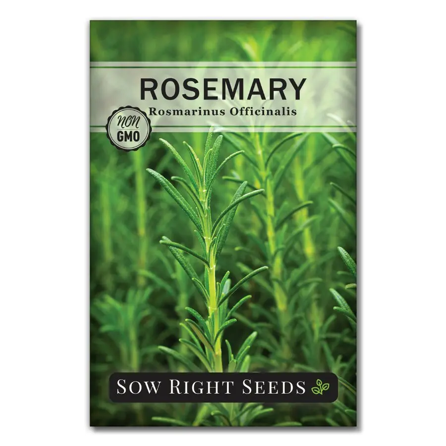 Rosemary Rosemary