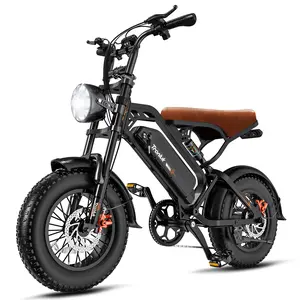 16" Fat Tire Electric Bike 48V 1000W 28MPH 48V13Ah Battery 30 Miles Range Dual Disc Brakes 200KG Load Heavy-Duty Steel Frame Foldable Handlebar